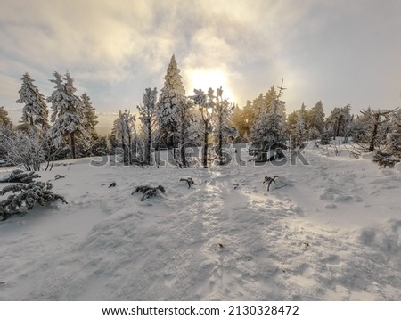panoramic picture of snowy trees in the mountains in Germany during winter