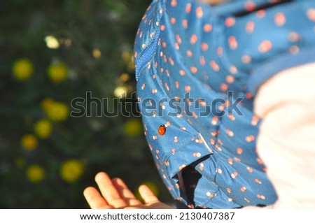 Colorful picture of a ladybug on child's jacket
