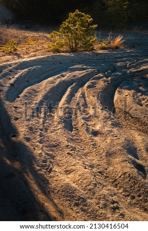 Motor bike tracks on the dirt road in the wilderness