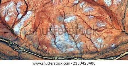 abstract landscape of the deserts of Africa from the air emulating the shapes and colors of the forests in Autumn,  Genre: Abstract Naturalism, from the abstract to the figurative