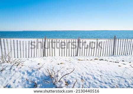 Snow on the beach with sand-fence and bare rosehip trees. 