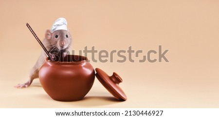 A domestic rat in a chef's hat cooks food in a pot. High quality photo Royalty-Free Stock Photo #2130446927