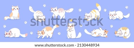 Vector set of illustration with happy cute different white cat character on blue color background. Flat line art style design of group of animal cat in different pose for web, greeting card, sticker