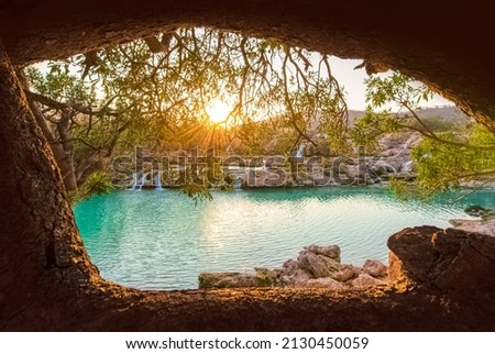 Sunset in Wadi Darbat as the  sunbeams shining through the trunks of trees, Oman. Royalty-Free Stock Photo #2130450059
