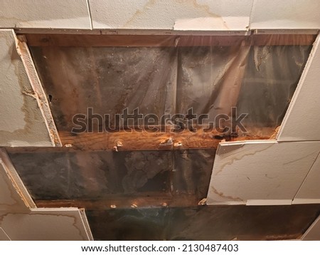 A nasty ceiling with water and mold damage to it from a leak. Ceiling tiles are missing and clear plastic has been installed as a temporary fix. Royalty-Free Stock Photo #2130487403