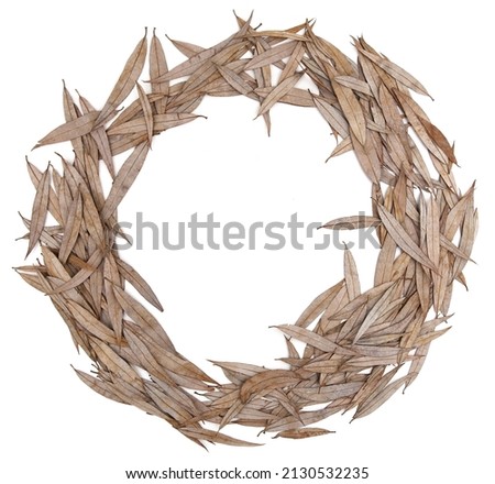 Circle of dry willow leaves isolated on white background. Pattern of falling leaves in winter time.