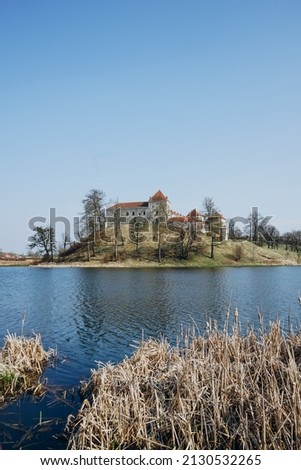 Castle with white walls and a red roof on an island among a wide river on a warm spring day. River coast with tall dry grass on a background of mountains with a historic castle.