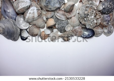 a frame made of seashell, a frame made of seashell with free space under it on a white background, a summer concept