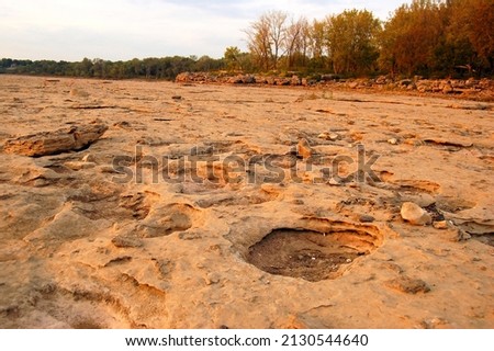 The dried and hardened riverbed at the Falls of the Ohio State Park in Indiana hosts many fossil remains from the Devonian period