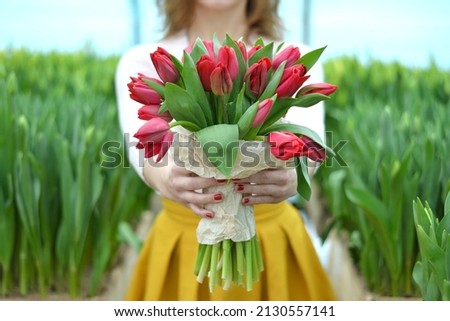 a bouquet of red  pink tulips in the hands of a girl. eco-friendly packaging. greenhouse. spring. springtime. 8 March. women's day
