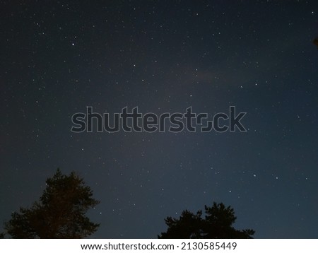 Blue starry sky on a summer night. Dark blue night sky above the treetops, stars shine in the sky, white clouds float across the sky. Stars of different sizes and brightness.