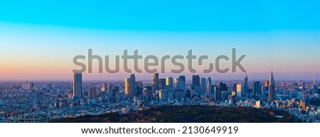 Tokyo subcenter in the evening Royalty-Free Stock Photo #2130649919