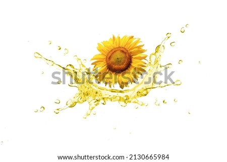 Sunflower seed oil splash isolated on white background.