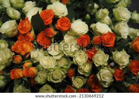 Floristics. Natural flowers. Live Dutch roses, a beautiful bouquet of multi-colored roses. Full frame background. High quality photo