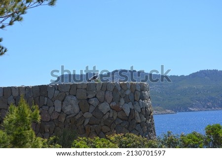 A scenic view of a bird sitting on a stone building against mountains and seascape in Mallorca, Spain