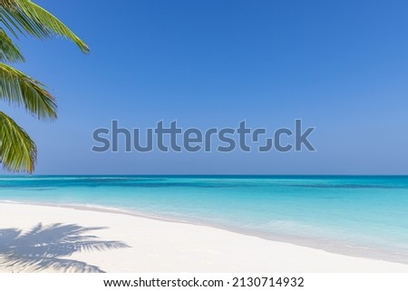 Summer beach landscape. tropical island shore, coast with palm tree leaves. Amazing blue sea horizon, bright sky and white sand as relaxing vacation mood, travel background concept. Exotic destination
