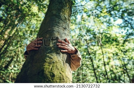 Closeup hands of woman hugging tree in forest, Nature conservation, environmental protection. Royalty-Free Stock Photo #2130722732