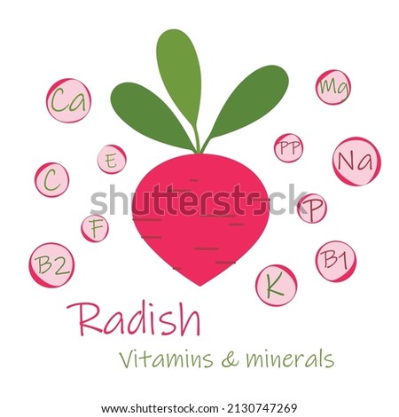 Fresh Radish with green leaves, health food, vector icon. Vitamins and minerals. Health benefits of Radish. Royalty-Free Stock Photo #2130747269