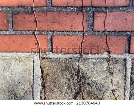 an old weathered red and light grey brick wall with plant vines