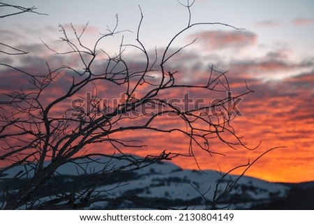 Sunset fire in Umbria with snow