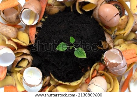 compost cycle is like composting a pile of rotting kitchen waste with vegetable waste turning into soil for organic fertilizers with a growing young plant as an integral part.Natural fertilizer. Royalty-Free Stock Photo #2130809600