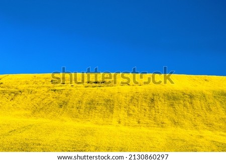 Ukraine flag. Blue sky and yellow field Royalty-Free Stock Photo #2130860297