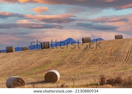 Wonderful scenery of grass hay roll on golden color of the grass yard with stuning mountain and clouded twilight sky in New Zealand