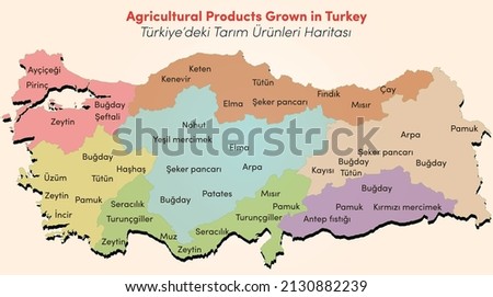 Illustration of agricultural products grown in Turkey. Royalty-Free Stock Photo #2130882239