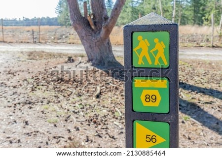 Signpost of different hiking trails in yellow and green, a path in an arid terrain, a trunk and green trees in the blurred background, sunny day, nature reserve Natuurpoort vennenhorst, Netherlands