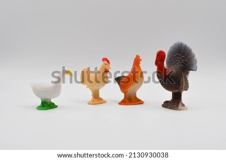farm animals.chicken, rooster, duck, turkey.a plastic toy.