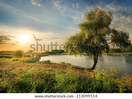 The river in the countryside in late summer