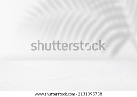 Background for digital product mockups. Neutral white, grey colour with palm leaf shadow on the wall. 
Horizontal with space for copy or product mockup.