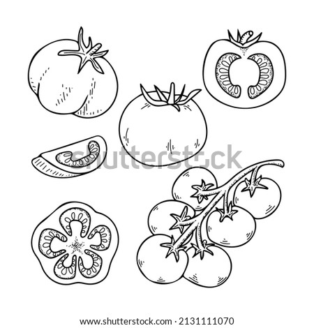 Line art set of tomatoes. Harvest ripe vegetables from the garden. Doodle drawing of herbal products. Sliced tomato, cherry on a branch. Hand drawn vector outline illustration. Royalty-Free Stock Photo #2131111070