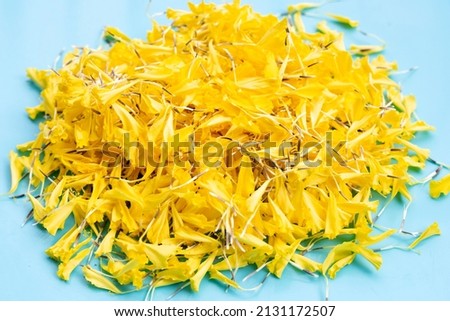 Yellow marigold flowers on blue background.