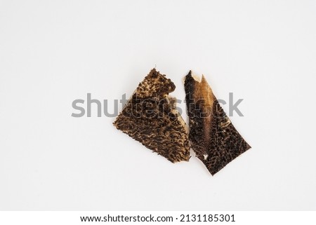 Dried beef stomach sticks isolated on white background. Cow scar. Healthy treats for dogs.. High quality photo