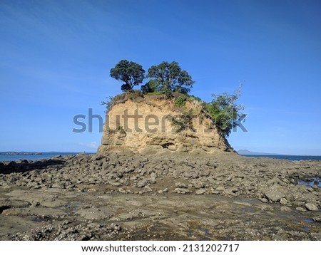 The view of Torbay tor at Waiake Beach, Auckland, New Zealand.
