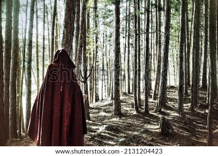 A Medieval cloaked figure walking through wooded forest in the early morning sunrise. Creative colors evoke a mysterious travler theme.            Royalty-Free Stock Photo #2131204423