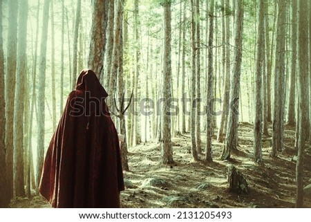 A Green Witch is walking with staff through a mysterious and misty forest.  Royalty-Free Stock Photo #2131205493