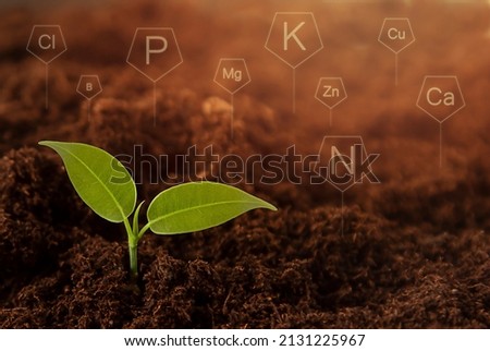 a small green sprout in the ground, around the symbols of trace elements Royalty-Free Stock Photo #2131225967