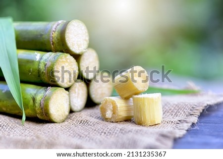 cane and cut sugarcane piece on wooden table and natural background Royalty-Free Stock Photo #2131235367