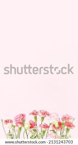 Carnation and rose flower arrangement pink background
