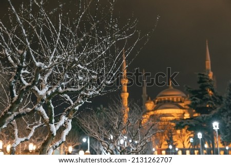 Istanbul in winter. Snowy tree and Sultanahmet Mosque on background at night. Travel to Turkey in winter background photo. Selective focus on tree. Noise included.