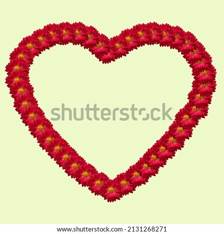Composition of flowers. A heart of red-burgundy flowers on a pastel-salad-colored background. The concept of Valentine's Day, Mother's Day, Women's Day. Flat position, top view.
