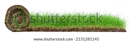 Rolling Lawn Panorama with growing Grass isolated on white Background Royalty-Free Stock Photo #2131281145