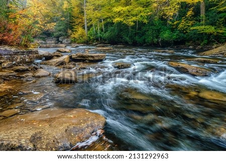 Autumn rain along the Cranberry River, Monongahela National Forest, West Virginia, USA