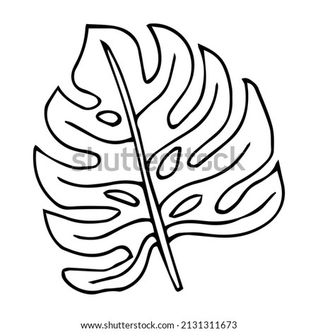 Hand drawn doodle monstera tropical leaf icon on white background. Vector illustration. Rainforest symbol collection Cartoon sketch element: greenery Philodendron Hawaiian Rain Forest Palm Leave