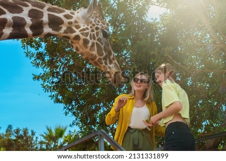 Woman and her daughter feeding giraffe in zoo. Royalty-Free Stock Photo #2131331899