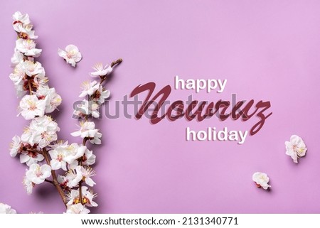 Sprigs of the apricot tree with flowers on pink background Text Happy Nowruz Holiday Concept of spring came Top view Flat lay Hello march, april, may, persian new year