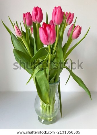 Vase with Bouquet of beautiful vibrant pink tulips flowers close up isolated on white background