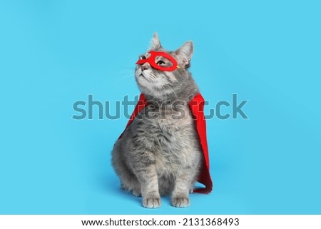 Adorable cat in red superhero cape and mask on light blue background